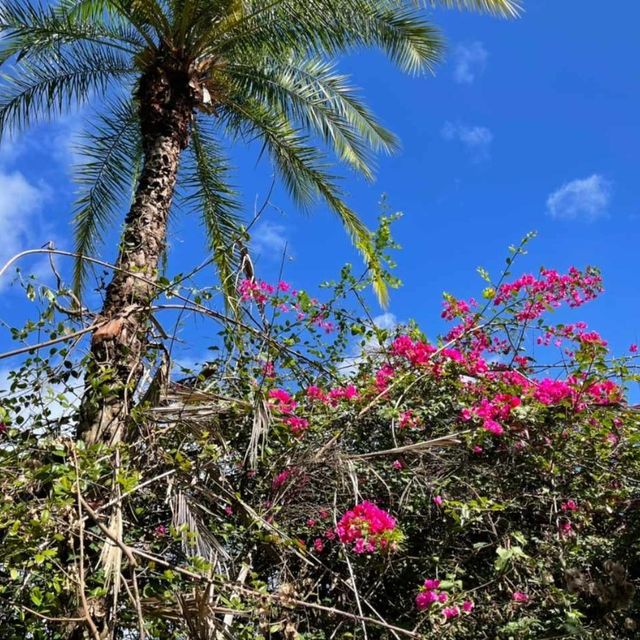 Mauritius